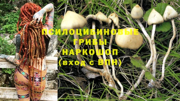 молекула духа Горнозаводск