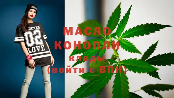 молекула духа Горнозаводск