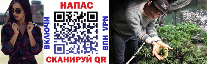 Бошки Шишки ГИДРОПОН  Купить  Пошехонье 